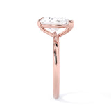 The TETE ring (Right Hand)