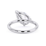 The TETE ring (Left Hand)