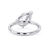 The TETE ring (Right Hand)