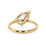 The TETE ring (Right Hand)