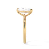 The TETE ring (Left Hand)